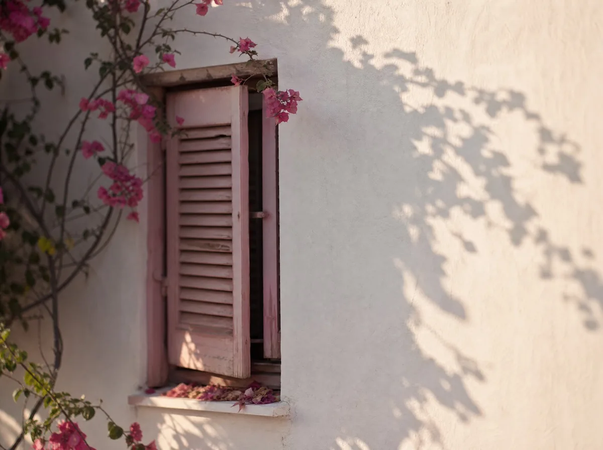A half-closed shutter on a white wall, with the long shadow of a bougainvillea