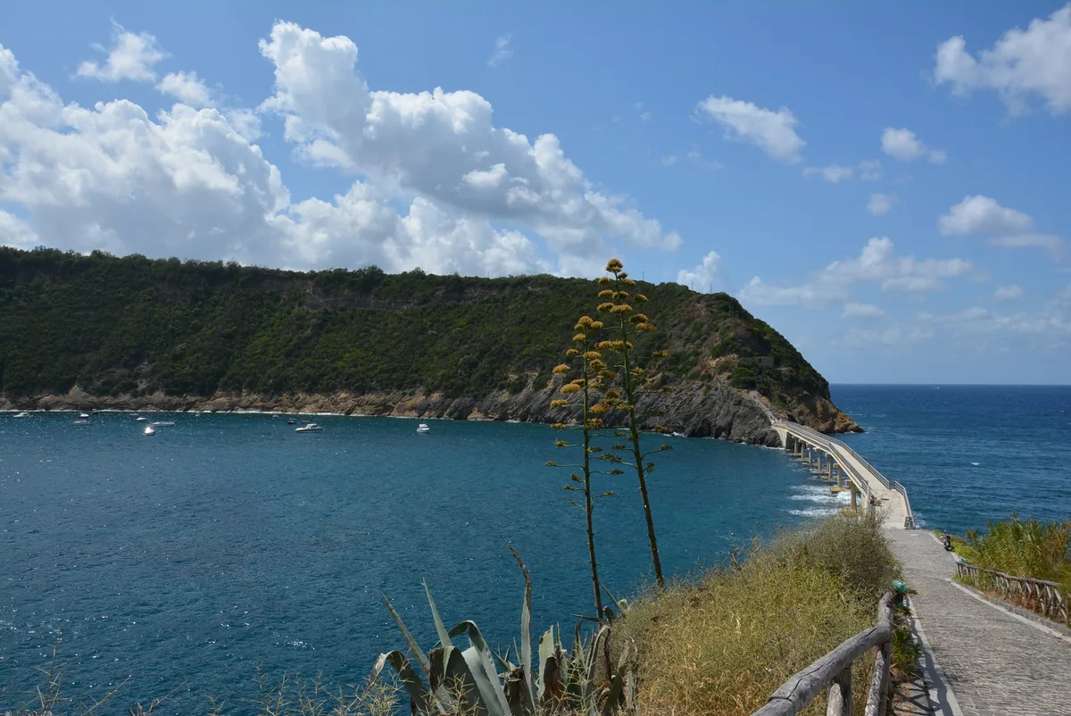 Procida island boat tour with swim stops